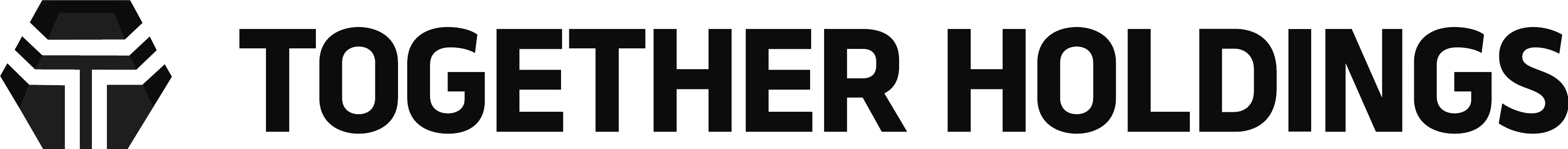 TOGETHER HOLDINGS 투게더홀딩스